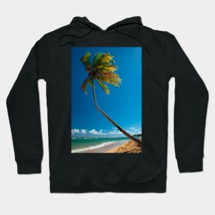 Solitary Crooked Palm Hoodie